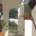Senaria أناكابْري