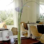 Senaria Otel Anacapri (Isola di Capri)