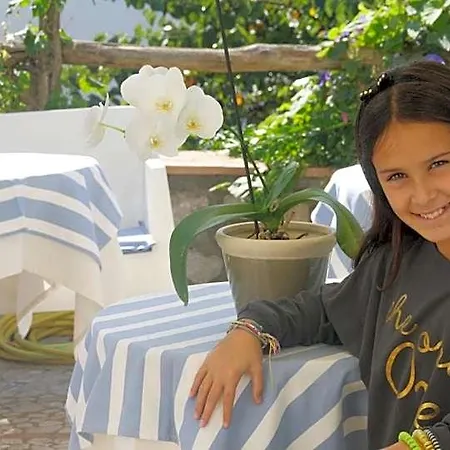 Senaria فندق