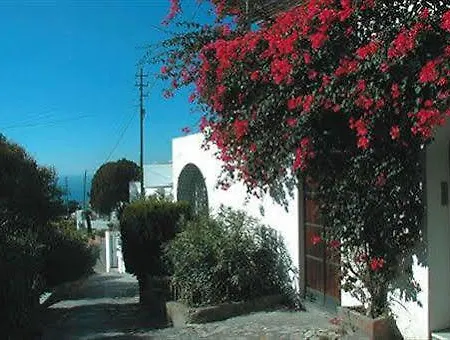 Senaria 3*